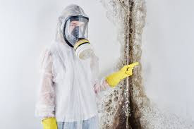 Best Comprehensive Air Testing for Mold Contaminants in Mount Union, PA